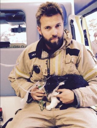  & lt; p & gt; GOT TREATMENT: The rabbit got O2 treatment in the ambulance by Ole-Marius Brattlie. Photo: Fire and rescue agency & lt; br / & gt; & lt; / p & gt; 