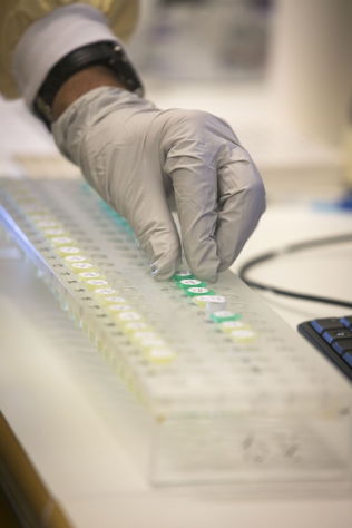  DNA ANALYSIS: NIPH is responsible for & # xE5; analyze DNA in criminal cases in Norway. 