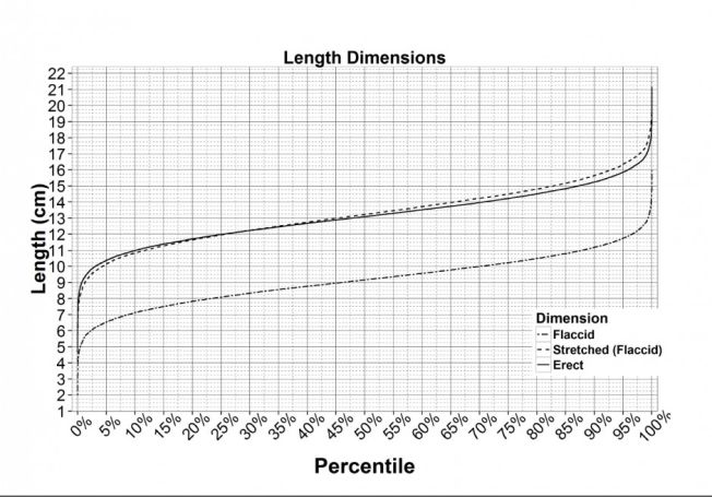 size statistics penis flaccid v erect